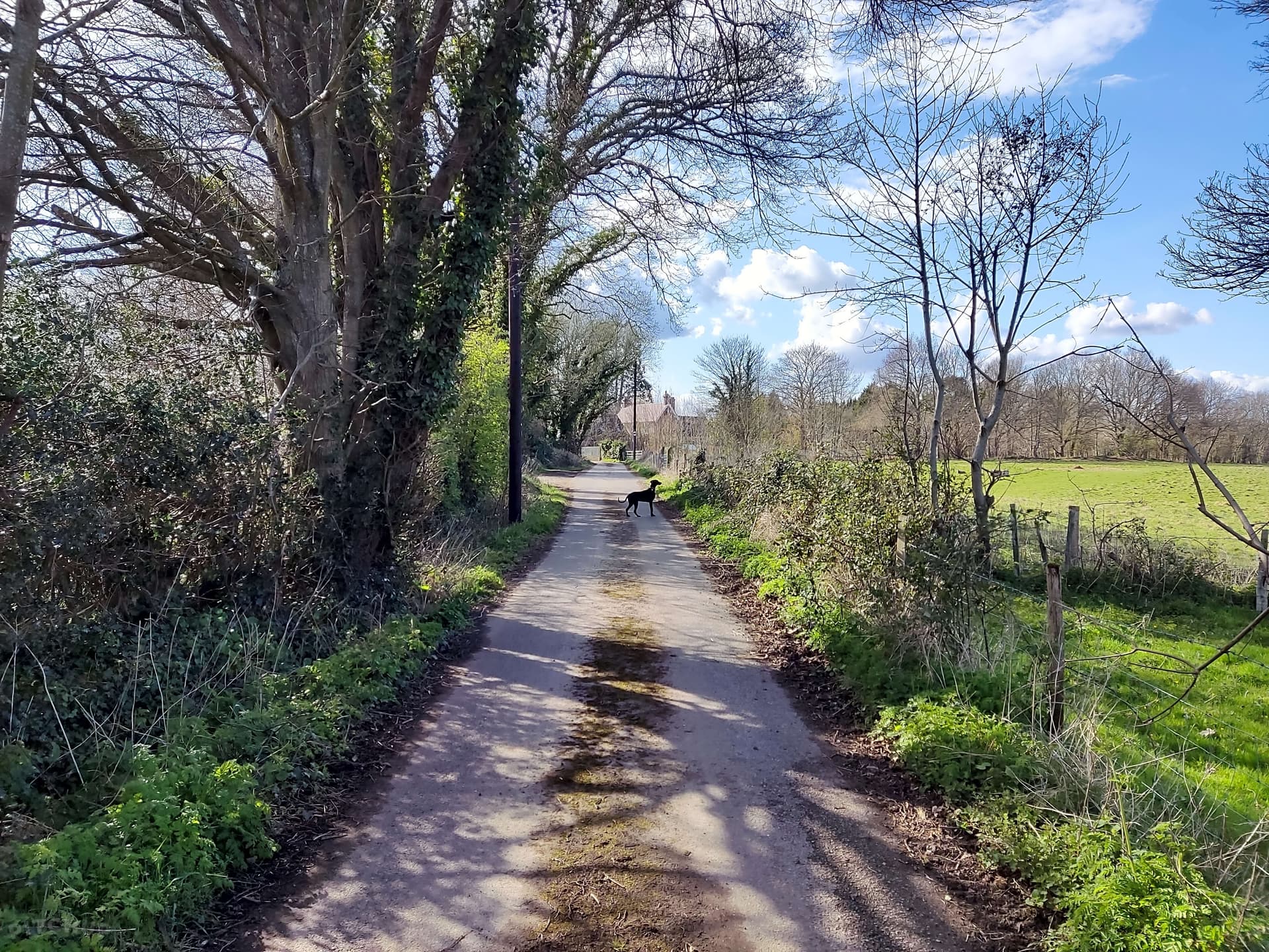 The approach lane to The Summerhouse